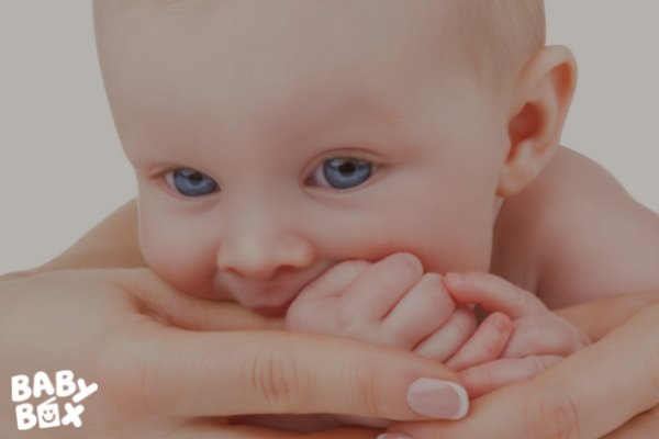 What Every Parent Needs to Know About Teething Toys