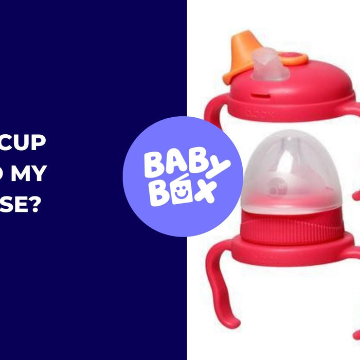 Which b.box bottle should you buy for your baby?