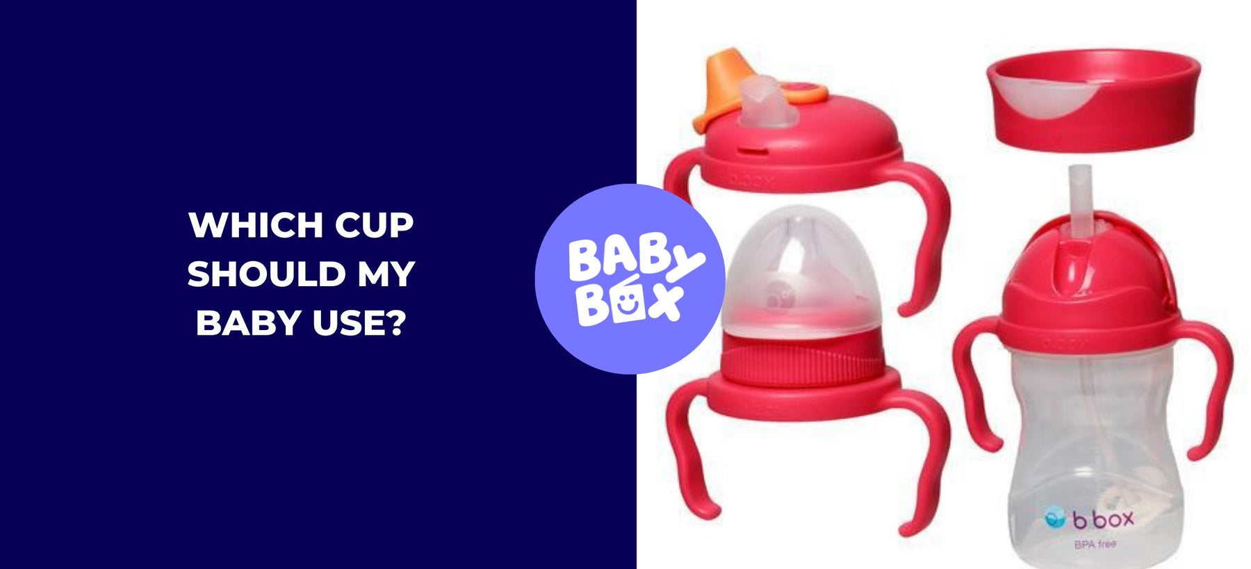 Which b.box bottle should you buy for your baby?