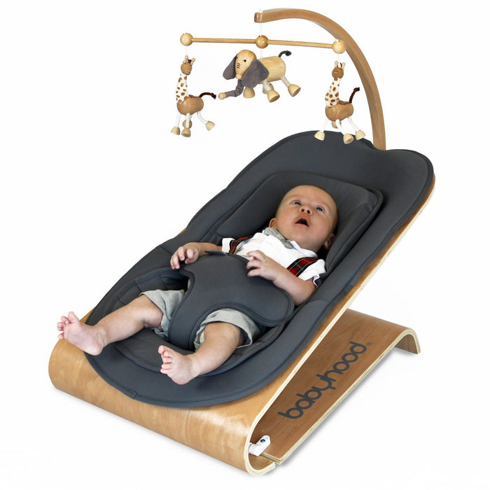Babyhood Tommer Bouncer | Baby Box | NZ Baby Shop